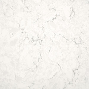 Forte quartz surface sample