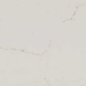 Rainier Gold quartz surface sample